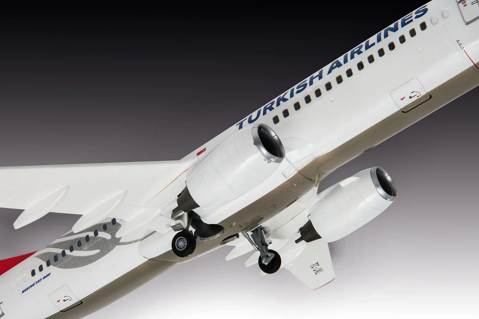Boeing 737-800 "Turkish Airlines" - Image 10