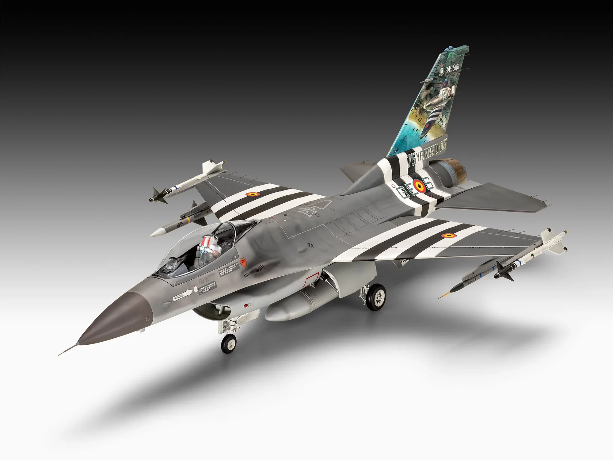 F-16 Falcon 50th Anniversary - Image 10