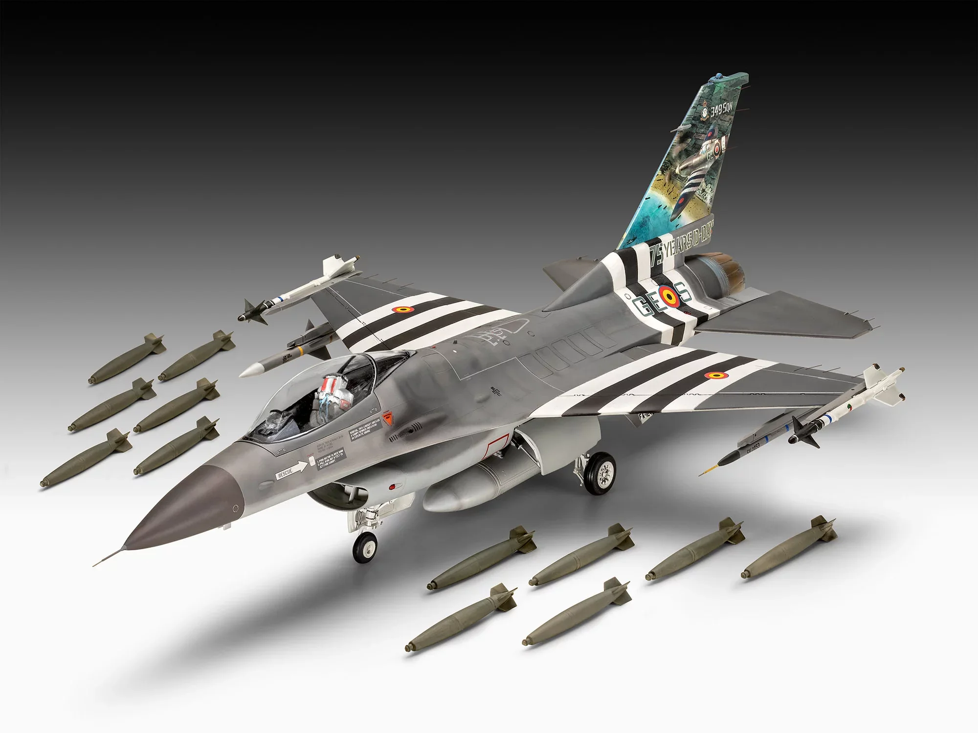 F-16 Falcon 50th Anniversary - Image 3