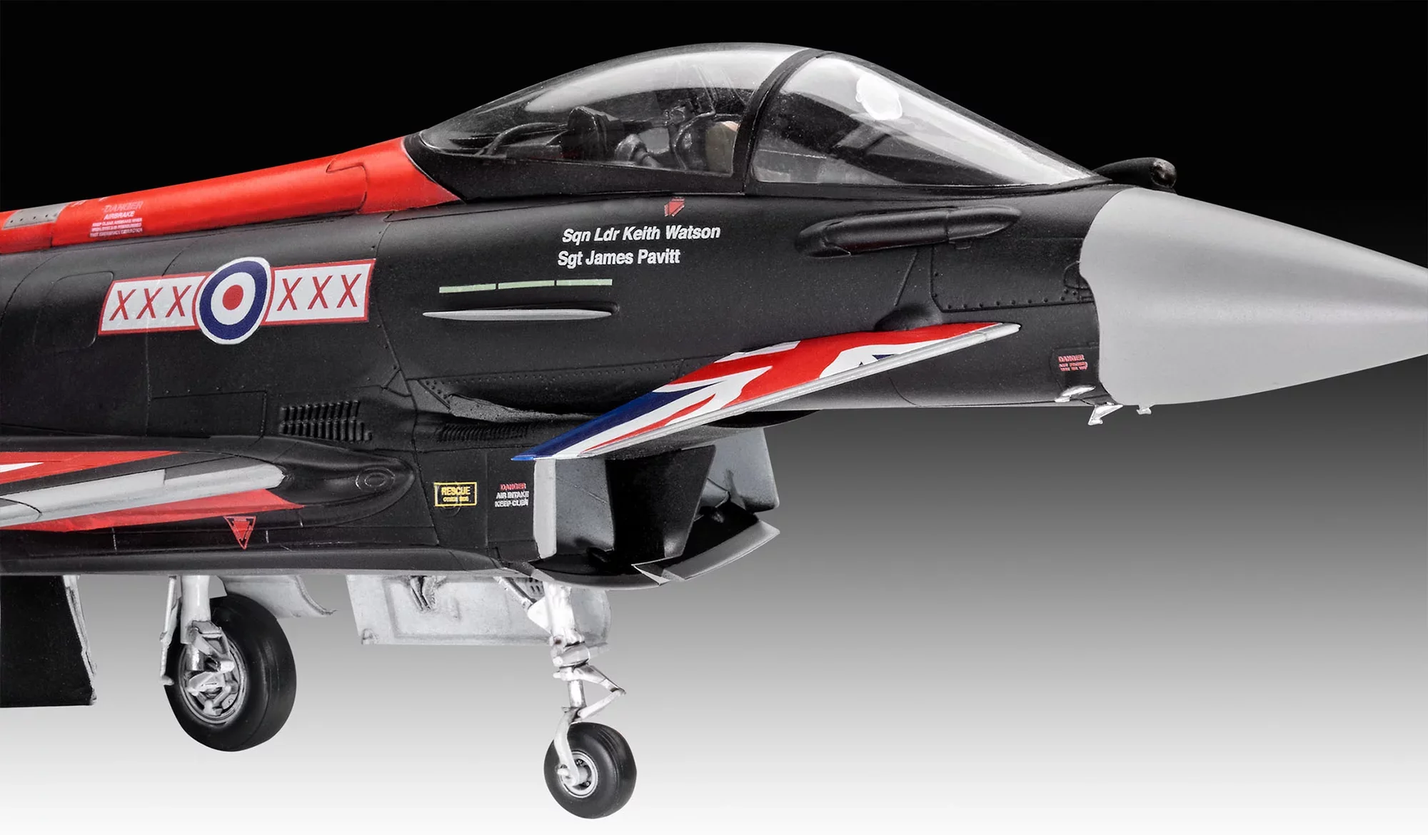 Eurofighter Typhoon "Black Jack“ - Image 4