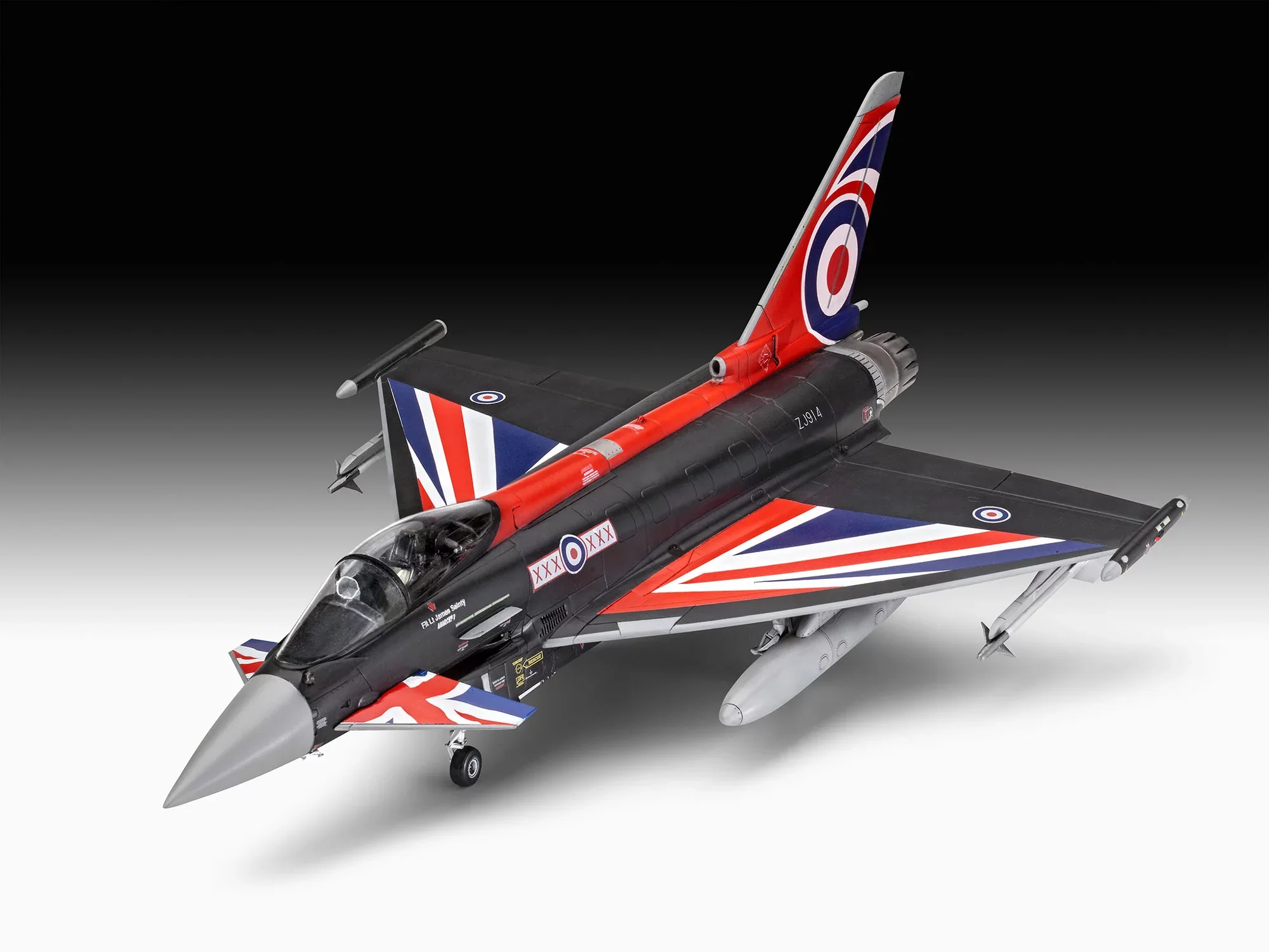 Eurofighter Typhoon "Black Jack“ - Image 9