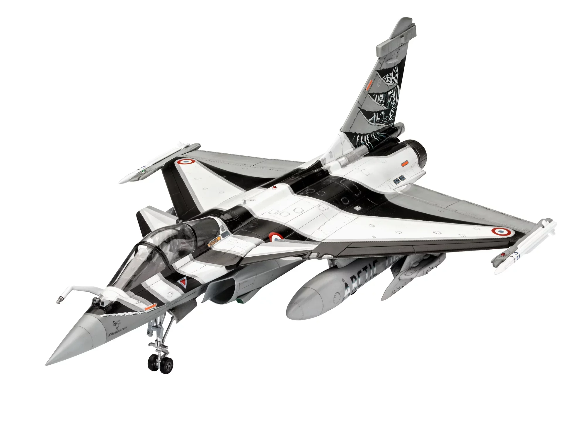 Dassault Aviation Rafale C - Image 2