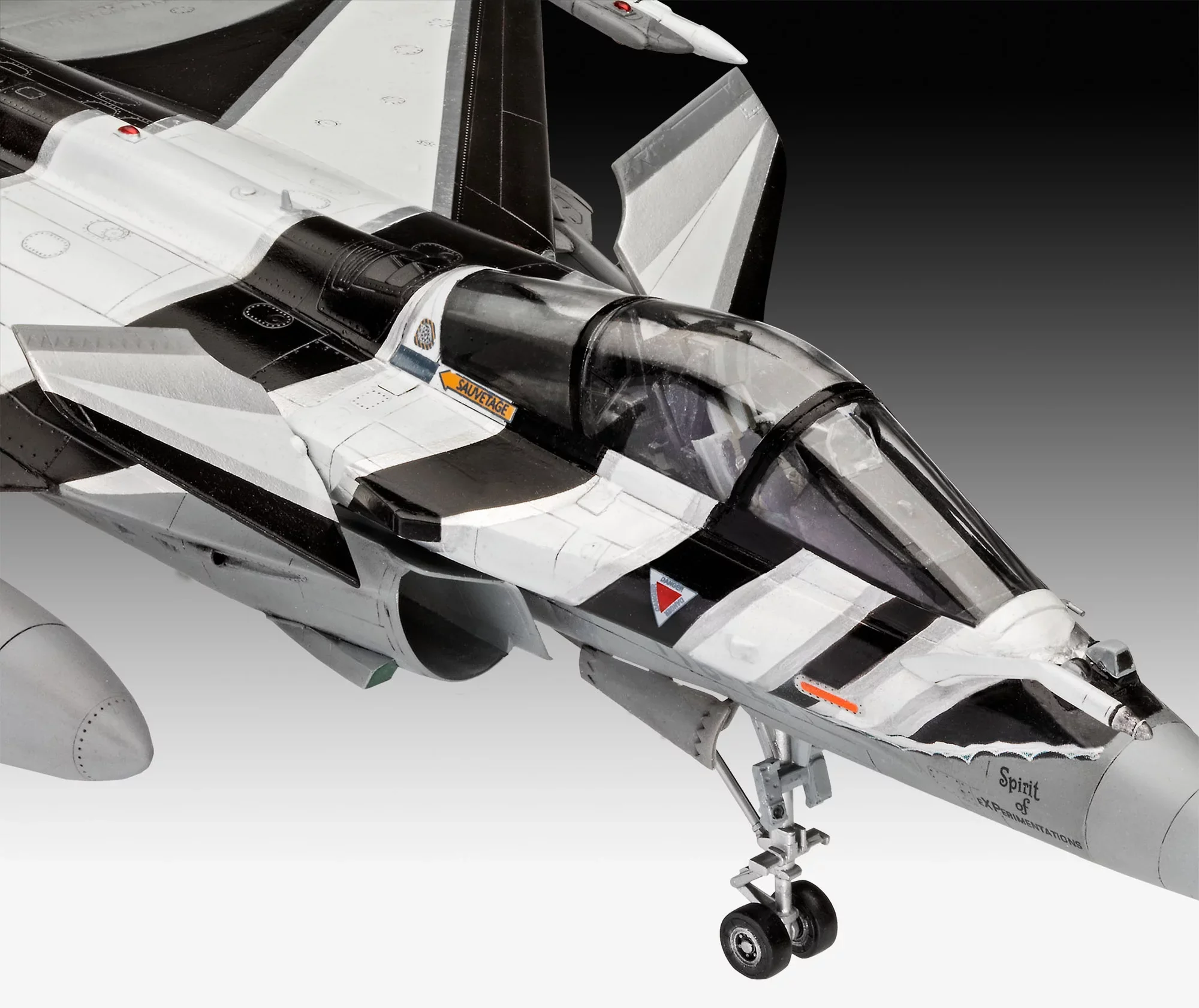 Dassault Aviation Rafale C - Image 3