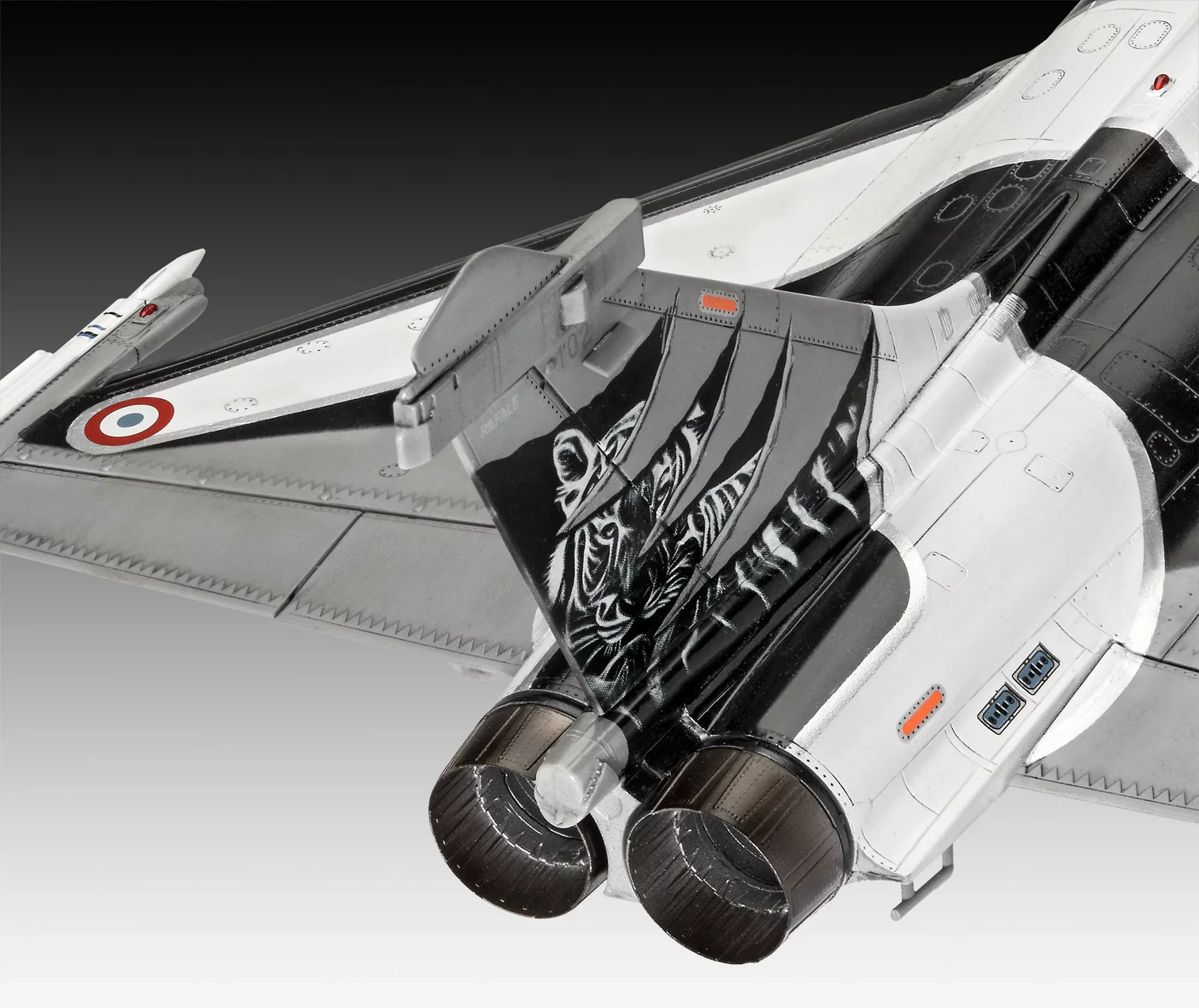 Dassault Aviation Rafale C - Image 4