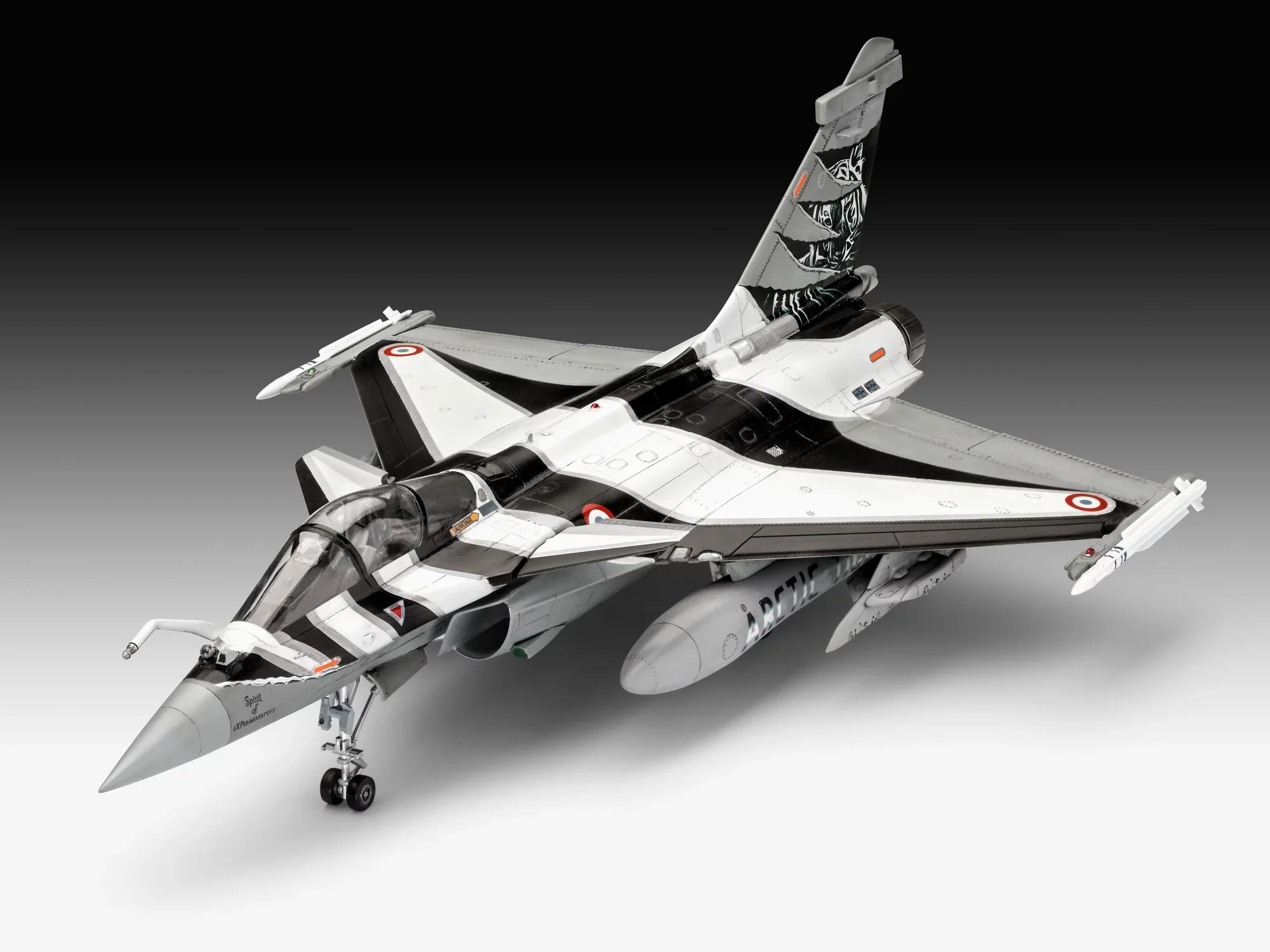Dassault Aviation Rafale C - Image 9