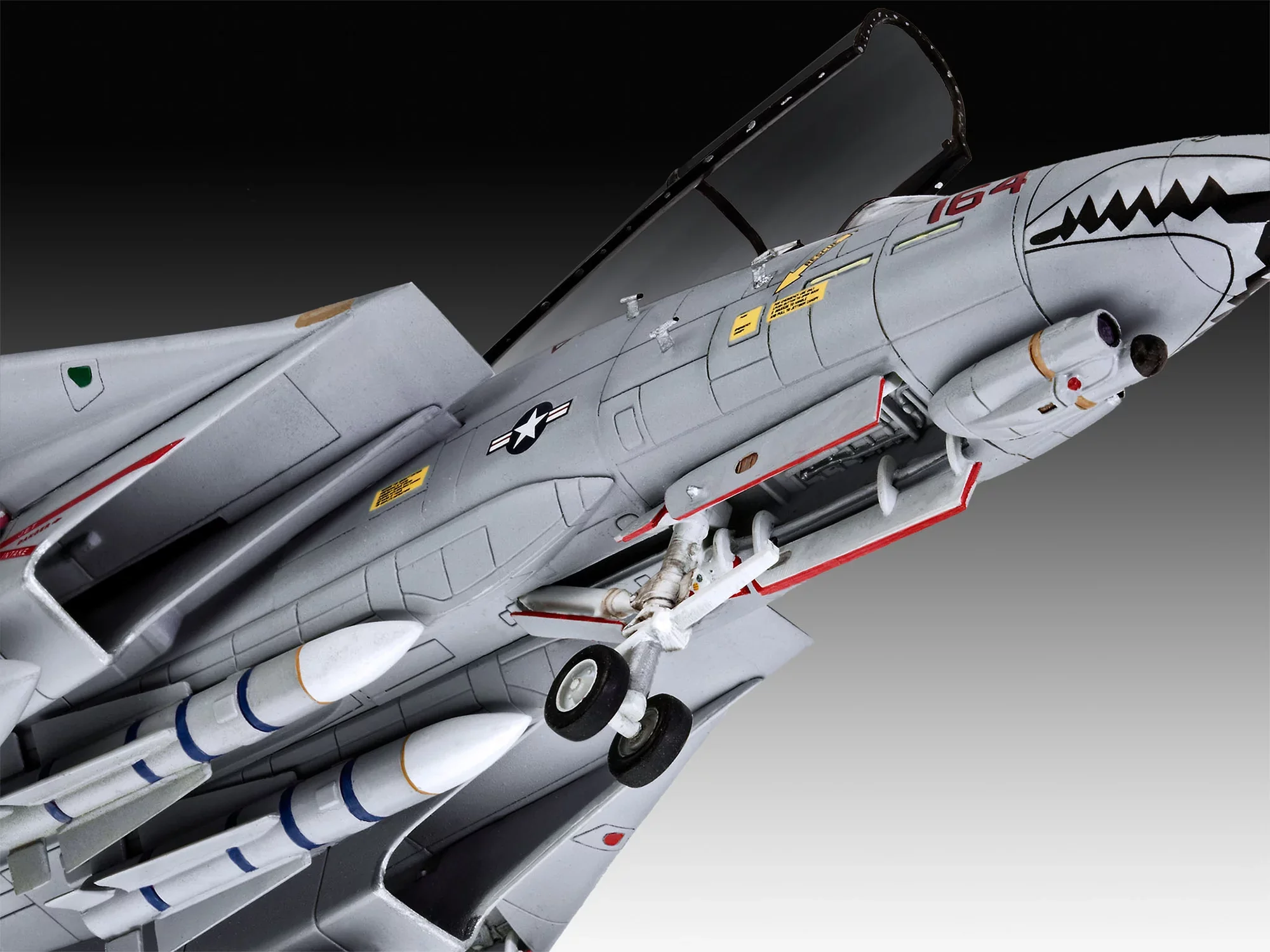 Grumman F-14D Super Tomcat - Image 3