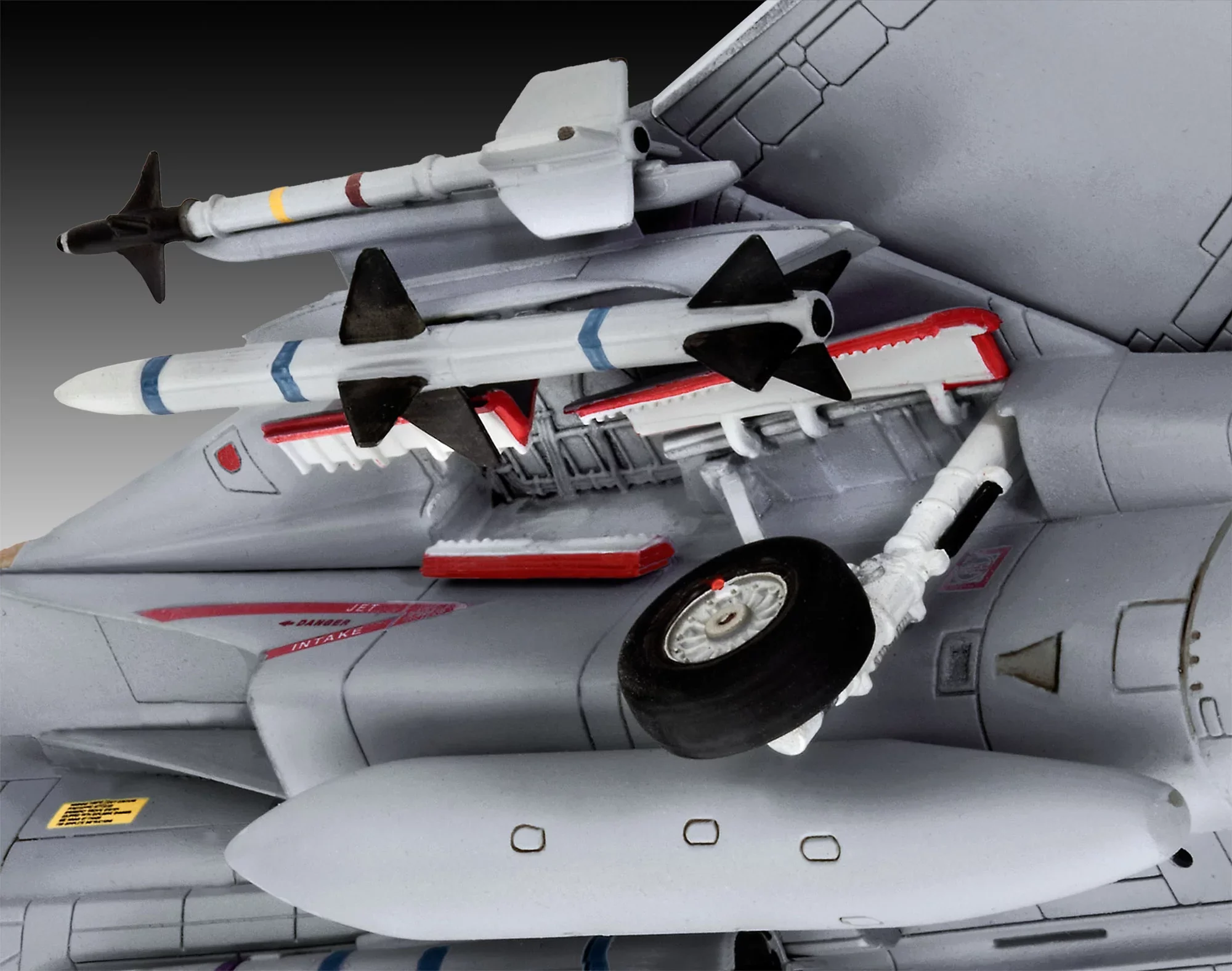 Grumman F-14D Super Tomcat - Image 5