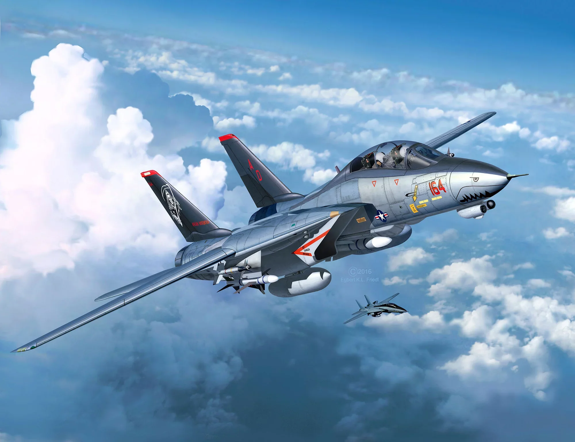 Grumman F-14D Super Tomcat - Image 8