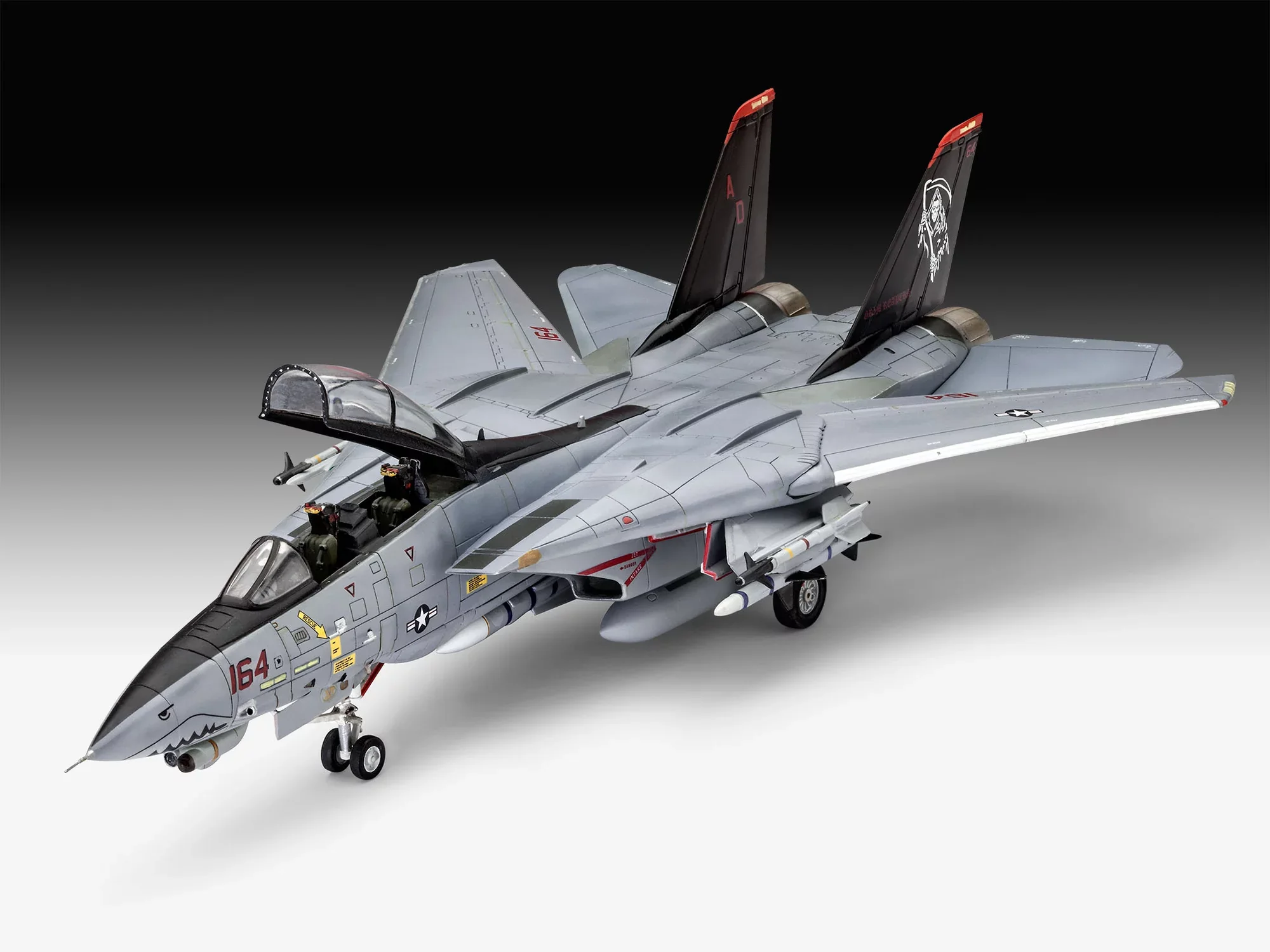 Grumman F-14D Super Tomcat - Image 9