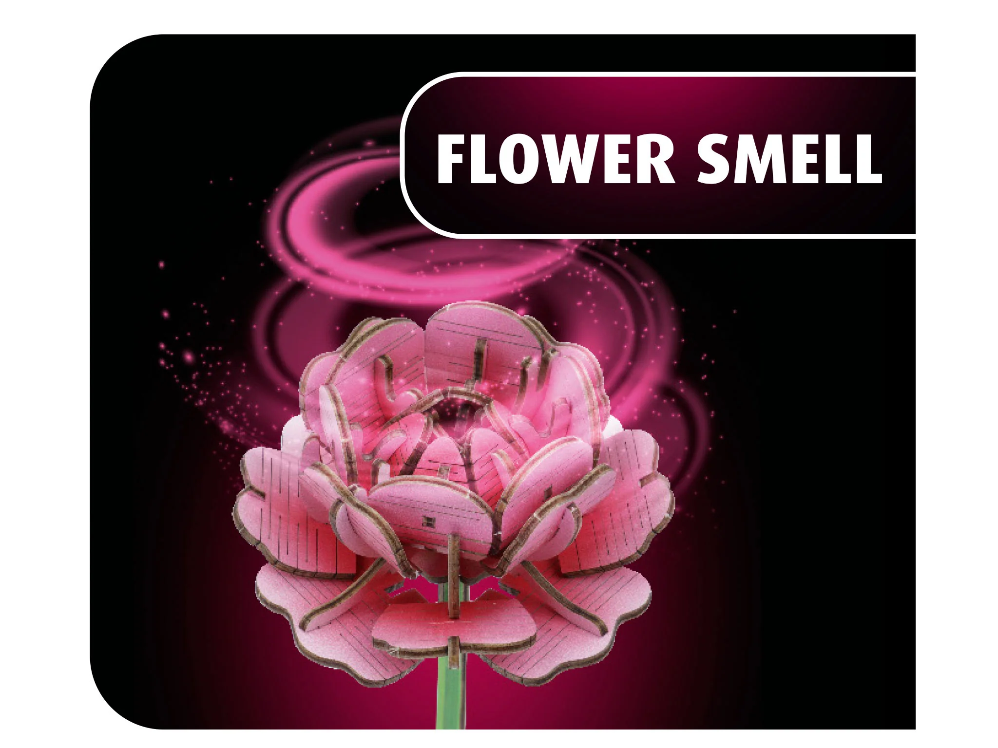 Flower Garden - Image 2