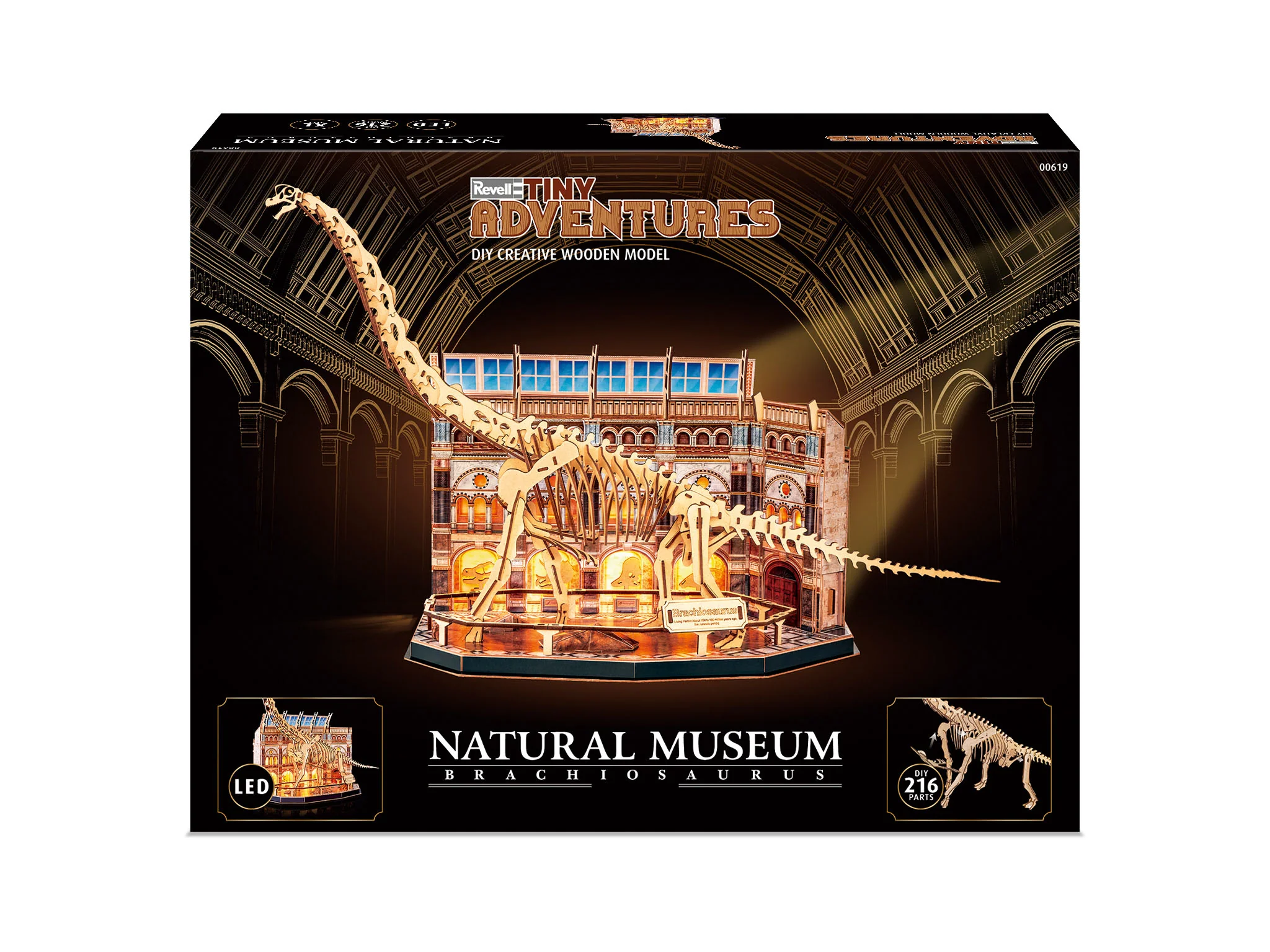 Natural Museum Brachiosaurus Skeleton - Image 3