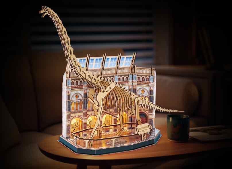 Natural Museum Brachiosaurus Skeleton - Image 6